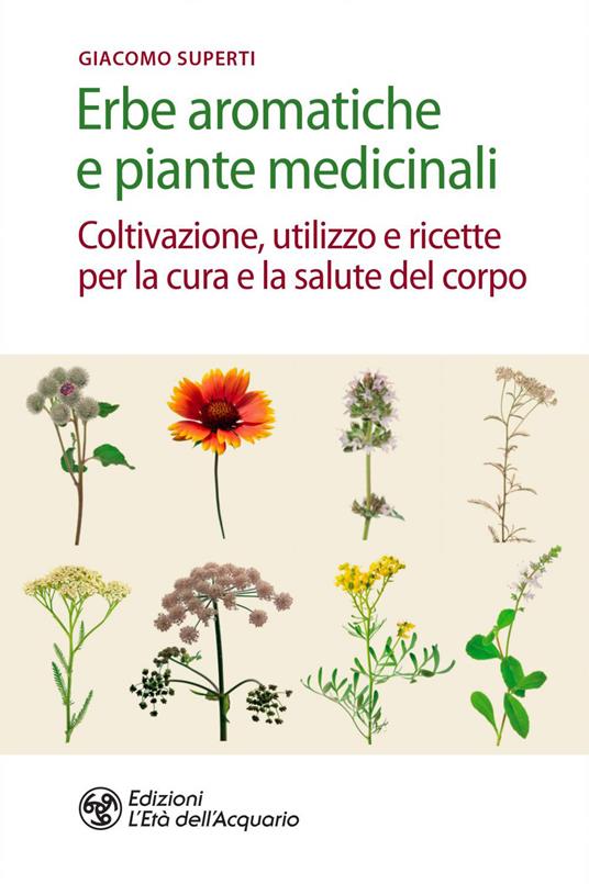 Erbe aromatiche e piante medicinali. Coltivazione, utilizzo e ricette per la cura e la salute del corpo - Giacomo Superti - ebook
