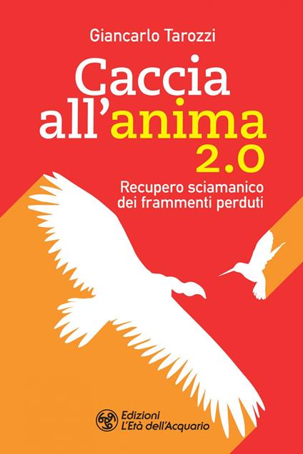 Caccia all'anima 2.0. Recupero sciamanico dei frammenti perduti - Giancarlo Tarozzi - ebook
