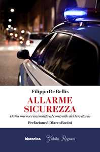 Allarme sicurezza. Dalla microcriminalità al controllo del territorio