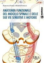 Anatomia funzionale del midollo spinale e delle sue vie sensitive e motorie