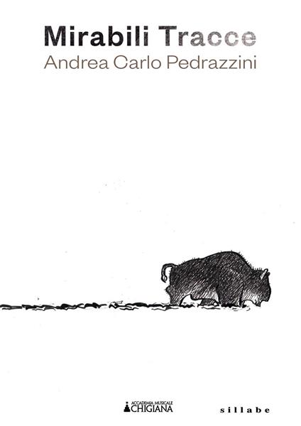Mirabili tracce. Andrea Carlo Pedrazzini. Ediz. illustrata - copertina