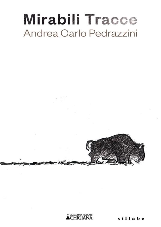 Mirabili tracce. Andrea Carlo Pedrazzini. Ediz. illustrata - copertina