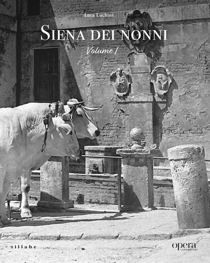 Siena dei nonni. Vol. 1 - Luca Luchini - copertina