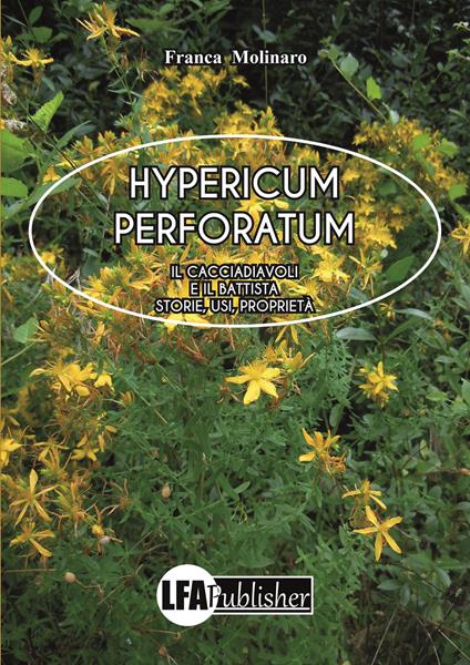 Hypericum perforatum - Franca Molinaro - copertina