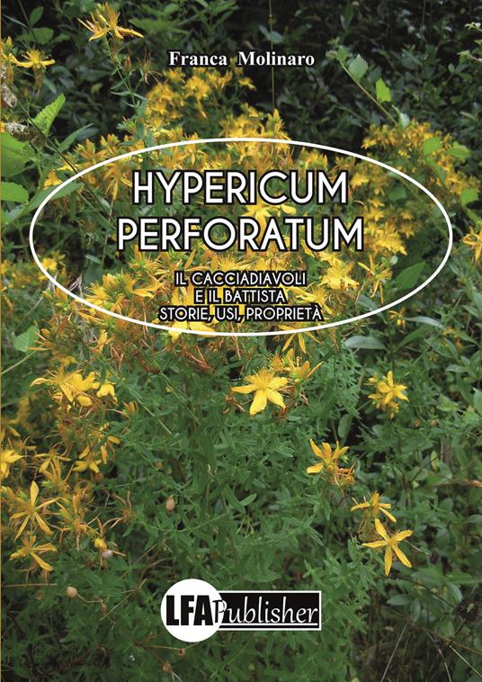 Hypericum perforatum - Franca Molinaro - copertina