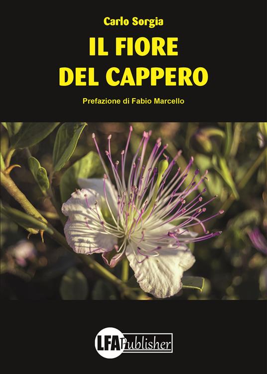 Il fiore del cappero - Carlo Sorgia - copertina