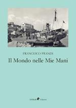 Il mondo nelle mie mani