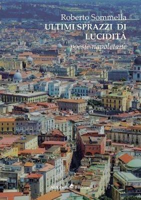 Ultimi sprazzi di lucidità - Roberto Sommella - copertina