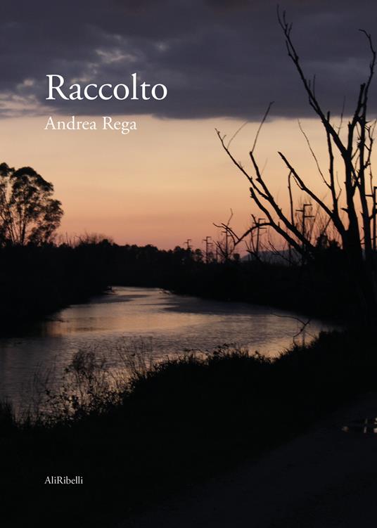 Raccolto - Andrea Rega - copertina