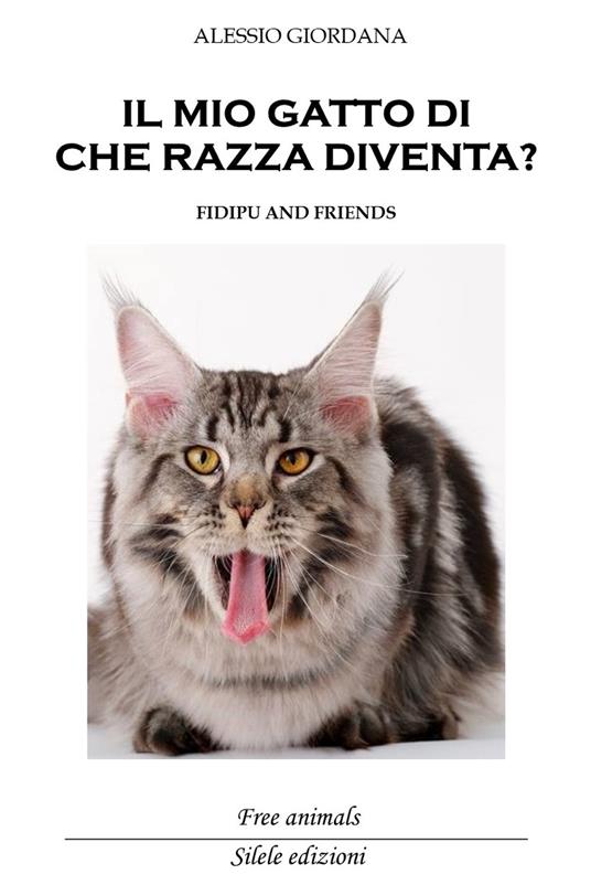 Il mio gatto di che razza diventa? Fidipu and friends - Alessio Giordana - copertina