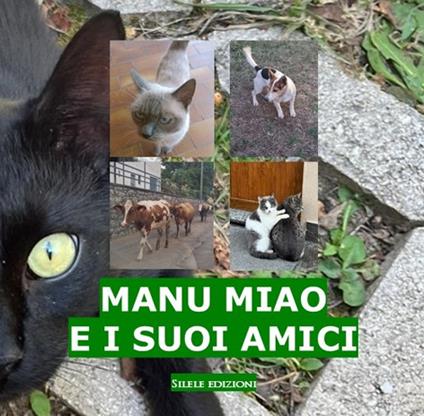 Manu Miao e i suoi amici - Manu Miao - copertina