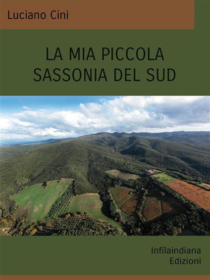 La mia piccola Sassonia del sud - Luciano Cini - ebook
