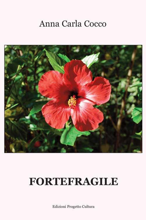 Fortefragile - Anna Carla Cocco - copertina
