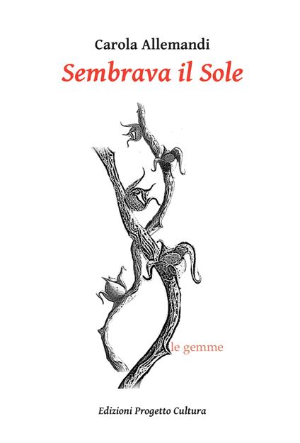 Sembrava il Sole - Carola Allemandi - copertina