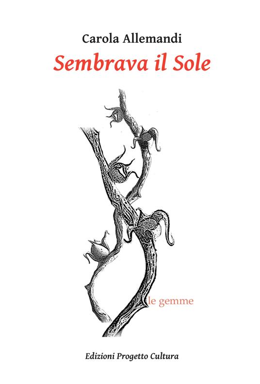 Sembrava il Sole - Carola Allemandi - copertina