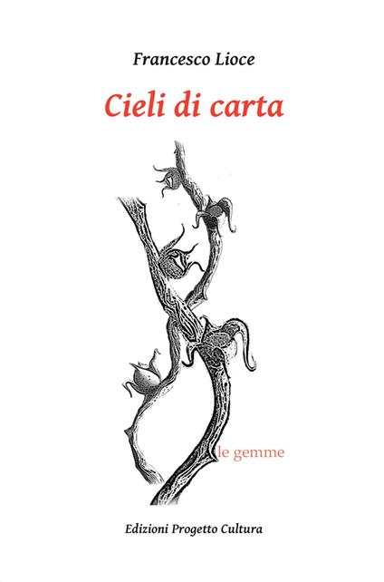 Cieli di carta - Francesco Lioce - copertina