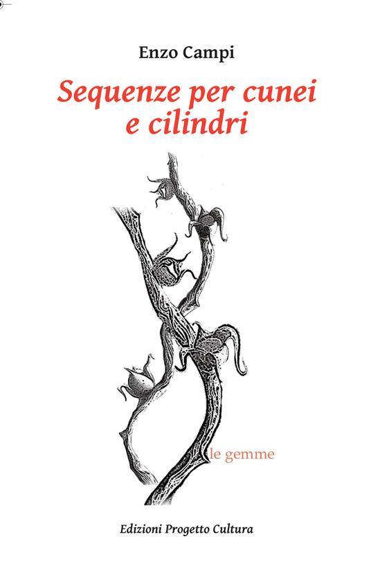 Sequenze per cunei e cilindri - Enzo Campi - copertina