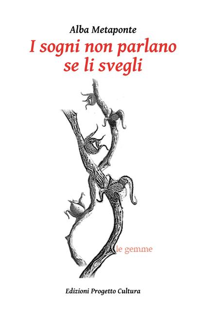I sogni non parlano se li svegli - Alba Metaponte - copertina