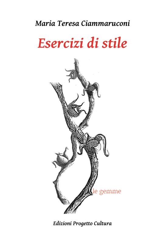 Esercizi di stile - Maria Teresa Ciammaruconi - copertina