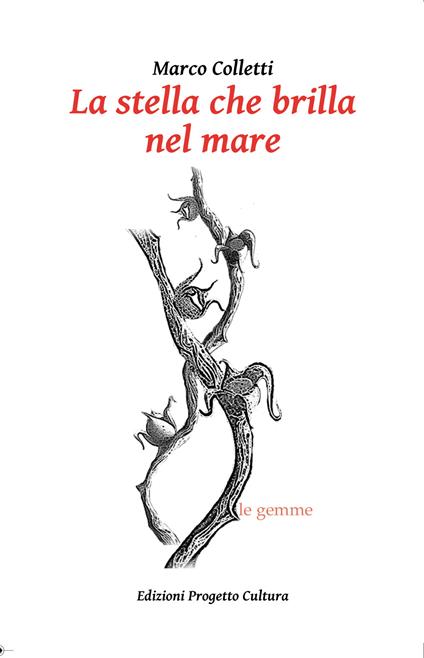La stella che brilla nel mare - Marco Colletti - copertina