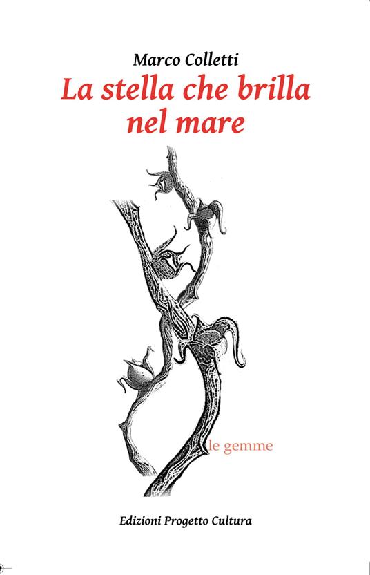 La stella che brilla nel mare - Marco Colletti - copertina