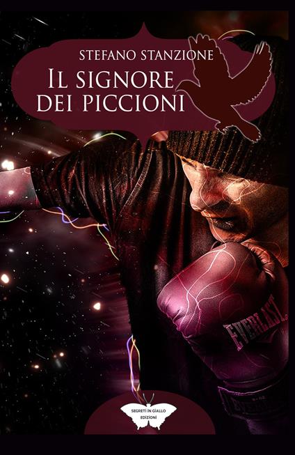 Il signore dei piccioni - Stefano Stanzione - copertina