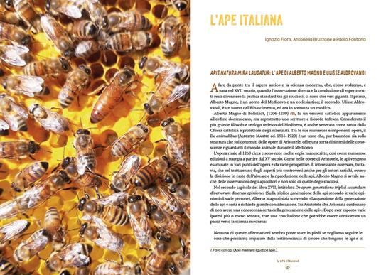 L'apicoltura in Italia. Storia e biodiversità - 11