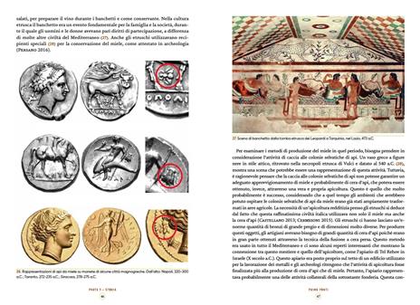 L'apicoltura in Italia. Storia e biodiversità - 12