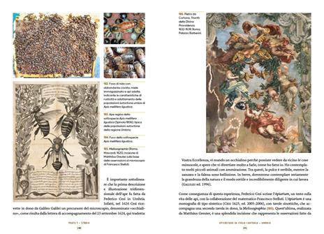 L'apicoltura in Italia. Storia e biodiversità - 16