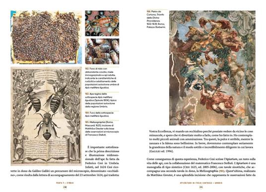 L'apicoltura in Italia. Storia e biodiversità - 16