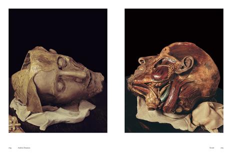 Gaetano Giulio Zumbo 1656-1701. Ediz. illustrata - Andrea Daninos - 7