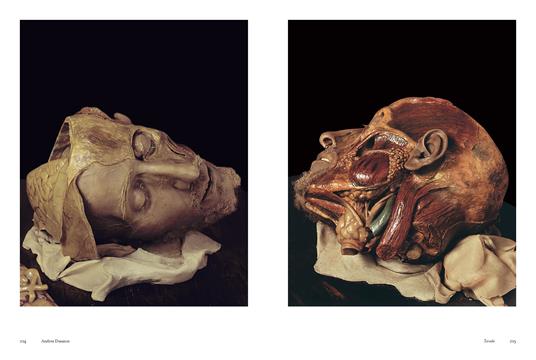 Gaetano Giulio Zumbo 1656-1701. Ediz. illustrata - Andrea Daninos - 7