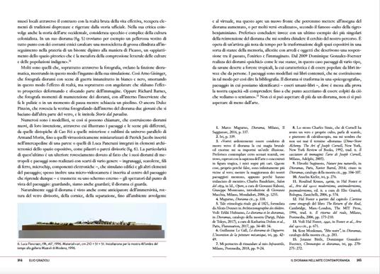 Diorami Letteratura e cultura visuale - 11