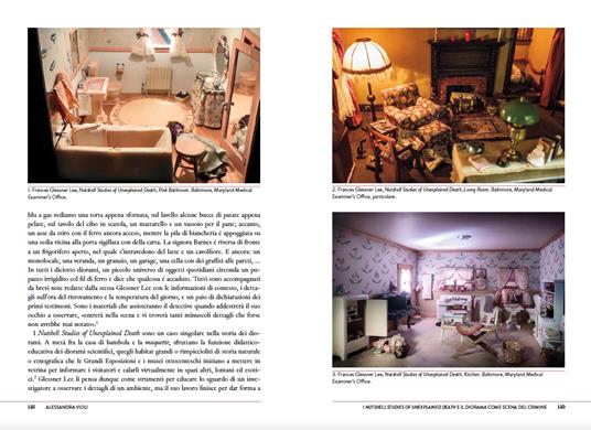 Diorami Letteratura e cultura visuale - 10