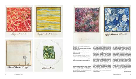 Arte e natura. Pittura su pietra tra Cinque e Seicento - 14