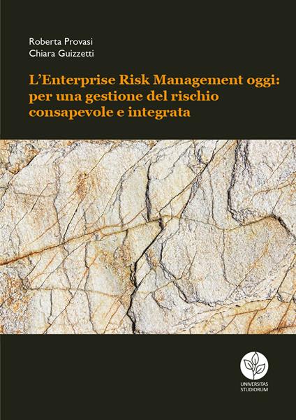 L' Enterprise Risk Management oggi: per una gestione del rischio consapevole e integrata - Roberta Provasi,Chiara Guizzetti - copertina