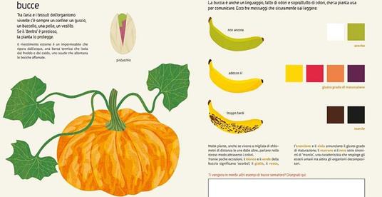 Naturalisti in cucina. Vademecum per piccoli scienziati e buone forchette - Federica Buglioni - 3