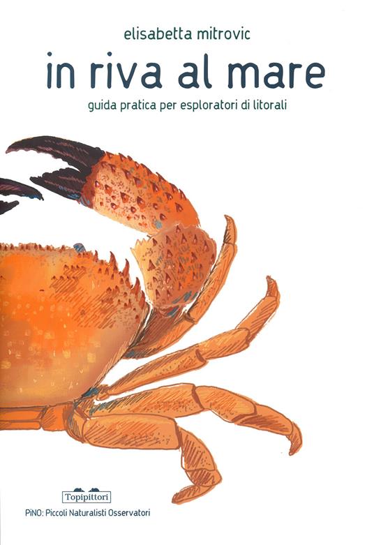 In riva al mare. Guida pratica per esploratori di litorali - Elisabetta Mitrovic - copertina