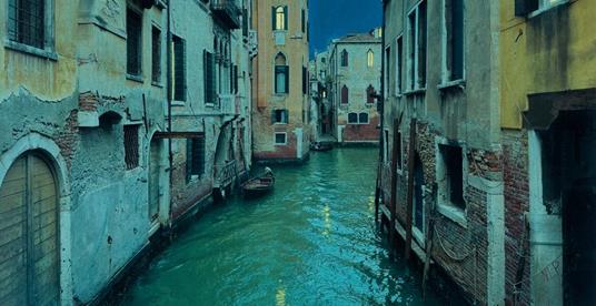 Avventura di un delfino a Venezia. Ediz. a colori - Paolo Ventura - 3