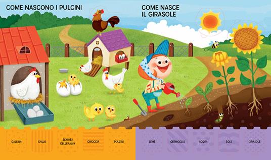 La fattoria. Gioca, scopri, impara - Jeon Sookhyun - 4