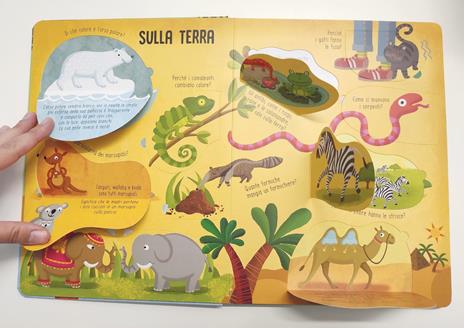 Animali. I primi libri del perché. Ediz. a colori - 2