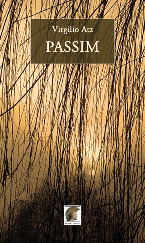 Passim - Virgilio Atz - copertina