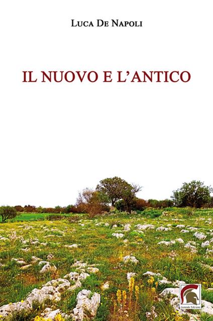Il nuovo e l'antico - Luca De Napoli - copertina