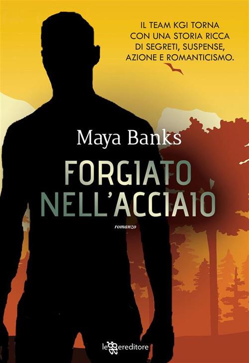 Forgiato nell'acciaio - Maya Banks,Annalisa Fioravanti - ebook