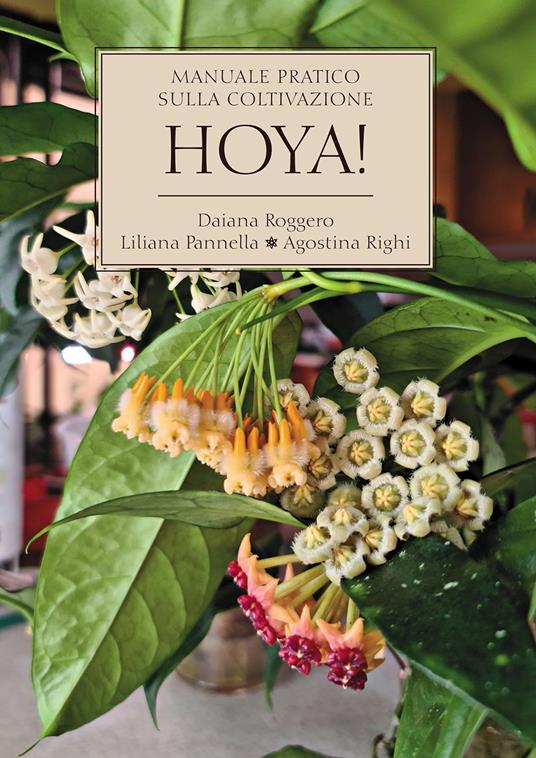 Hoya! Manuale pratico sulla coltivazione - Daiana Roggero,Liliana Pannella,Agostina Righi - copertina