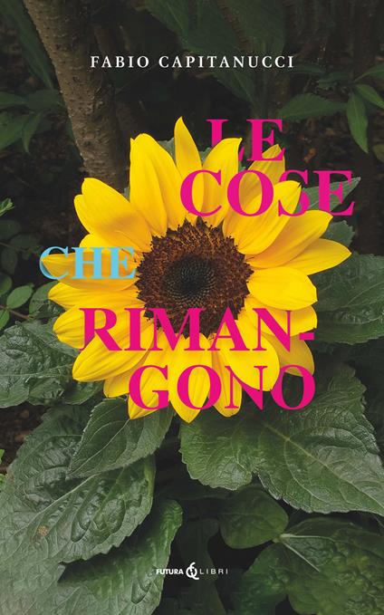Le cose che rimangono - Fabio Capitanucci - copertina