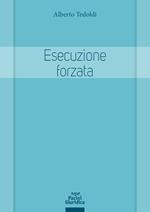 Esecuzione forzata. Profili sostanziali e processuali