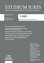 Studium iuris. Rivista per la formazione nelle professioni giuridiche (2022). Vol. 11