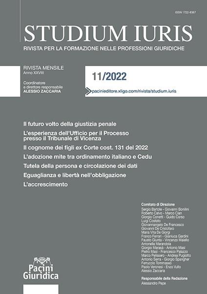 Studium iuris. Rivista per la formazione nelle professioni giuridiche (2022). Vol. 11 - copertina