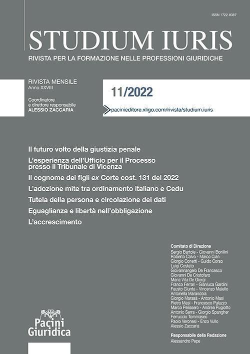 Studium iuris. Rivista per la formazione nelle professioni giuridiche (2022). Vol. 11 - copertina